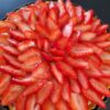 Individual Tarts - Image 3